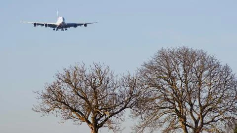 Airplane Flying Over Trees Stock Photos