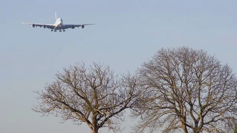 Airplane Flying Over Trees In Winter 스톡 동영상 71778844