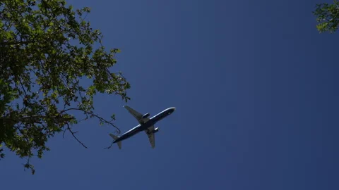 Airplane flying overhead passing trees Stock Footage 280433111