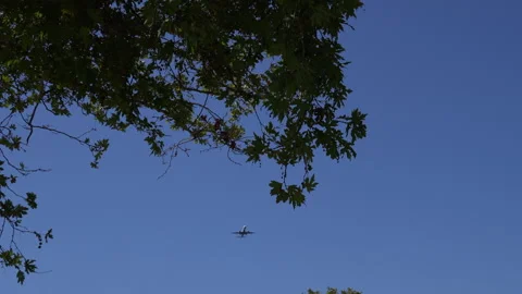 Airplane flying overhead passing trees Stock Footage 280433161