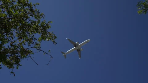 Airplane flying overhead passing trees Stock Footage 280433224