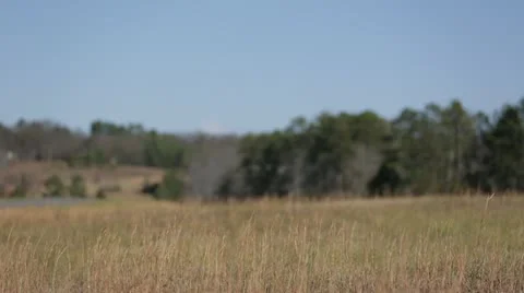 Airplane flying in sky 스톡 동영상 22100677