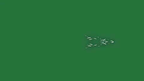 An airplane is flying in the sky on a green background and bird over field Stock Footage 337029431