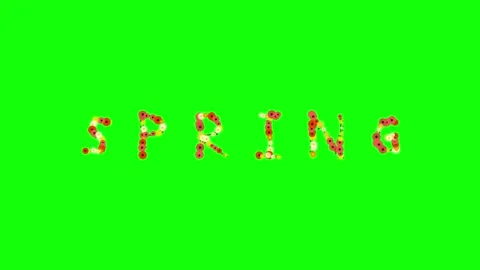 Airplane Flying with Sky on Green Screen Chroma Key Background Stock Footage 337996740
