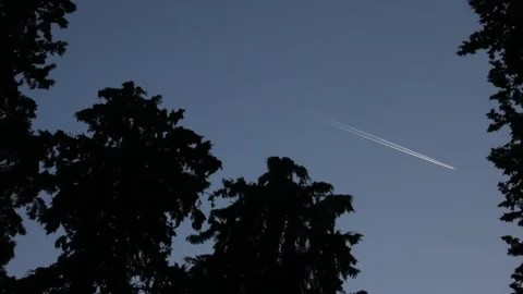Airplane flying in the sky through the evening trees with white smoke Stock Footage 248830310