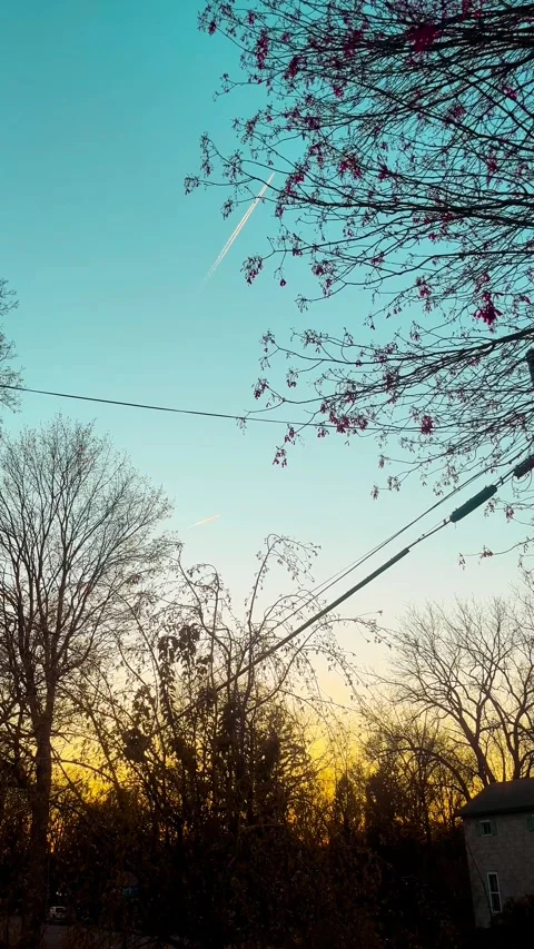 Airplane flying at sunset Video stock 279520930