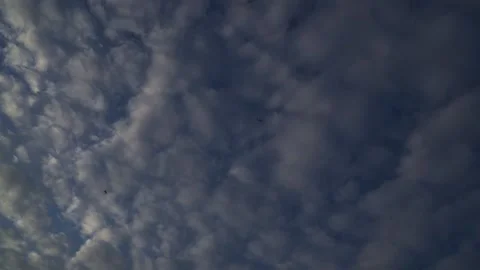 Airplane Flying Through Cloudy Sky Conditions Stock Footage 308238413