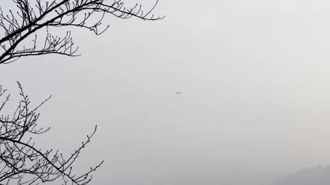 Airplane flying through tree branches on a cloudy day Видео 171843605
