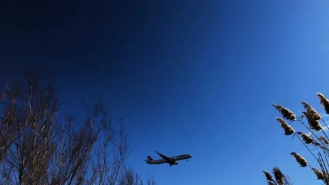 Airplane Stock Footage 170554148