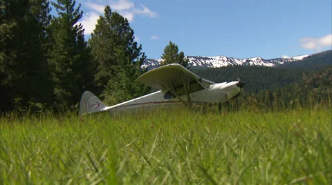 Airplane Grass Strip 動画素材 35759565