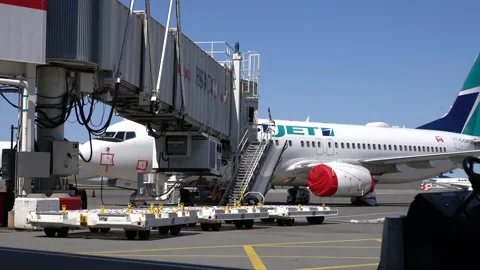 Airplane Grounded with Engine Covers Parked at Gate During COVID Video stock 219198691