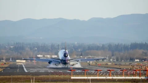 Airplane hard landing back view. Vidéo 149016881