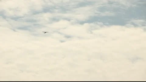 Airplane high in the sky Vídeos de archivo 10931597