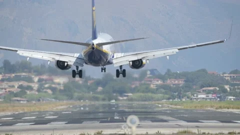 Airplane Landing During Summer Vidéo 232010225