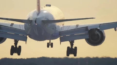Airplane landing at the early morning Stock Footage