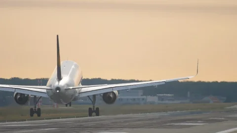 Airplane landing at the early morning Stock Footage 101478385