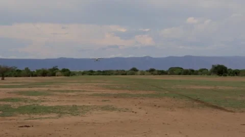 Airplane landing on field Stock Footage 49010744