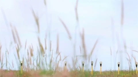 Airplane landing . Stock Footage 70868139