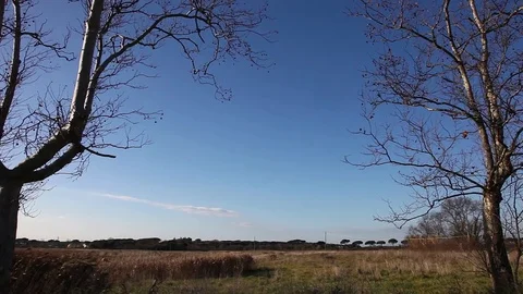 Airplane landing Video stock 80649100