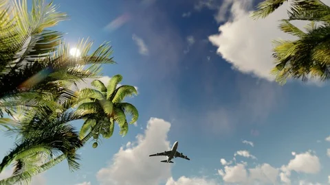 Аirplane is landing. Stock-Footage 128954391