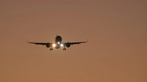 Airplane Landing Overhead at Sunset Stock Footage 336782295