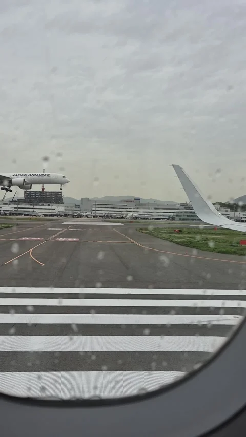 An airplane landing on the runway Vidéo 338317913