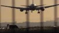 Airplane landing at sunrise, grazing horse HD Footage
