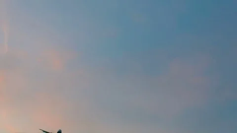 Airplane landing at sunset Stock Footage 75425033