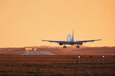 Airplane landing at sunset Stock-Fotos