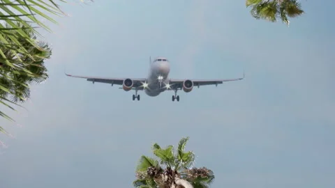 Airplane landing in tropical island overhead. Palm trees. Holiday air travel Stock Footage