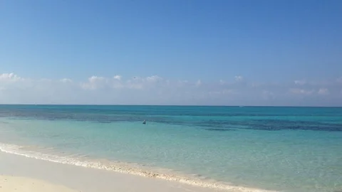 Airplane low over beach Video stock 98243683