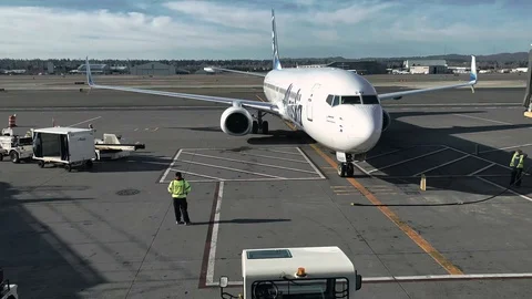 Airplane offloading luggage timelapse Stock Footage 123471235