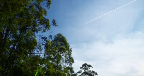 Airplane over the clouds Stock Footage 246766258