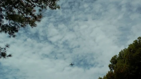 Airplane over the trees Stock Footage 101020645