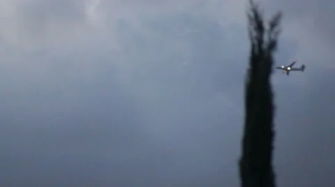 Airplane passes tree Stock Footage 47522658