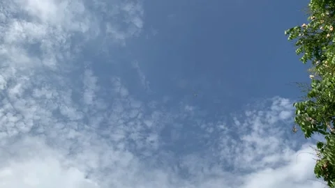 Airplane Passing By Stock Footage 205059083