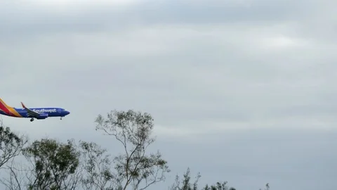 Airplane passing on top of a forest Video stock 128097914