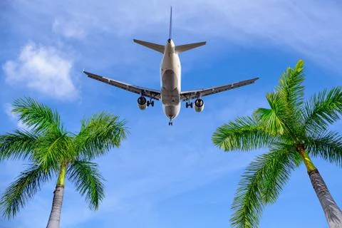 Airplane 스톡 사진