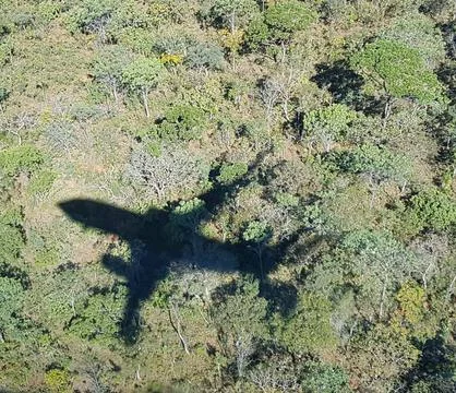 Airplane shadow over the forest Fotos de archivo