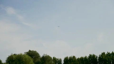 Airplane in the sky above trees Vídeo Stock 263679737