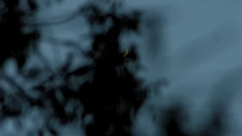 Airplane in the sky Vidéo 76258409