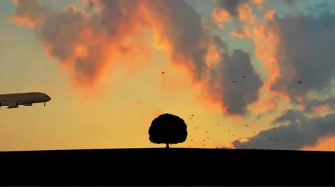 Airplane in sky over tree Stock Footage 40789533