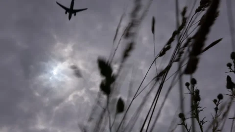 Airplane soaring gracefully over a sunlit field of grass Stock Footage 300615667