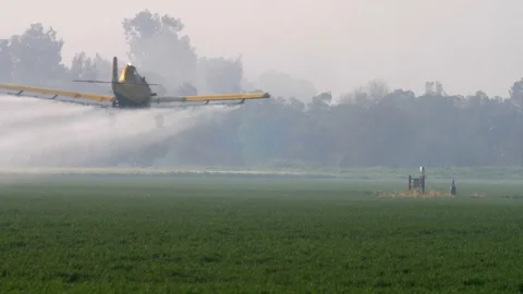 Airplane spraying Wheat fields Stock Footage 94769922