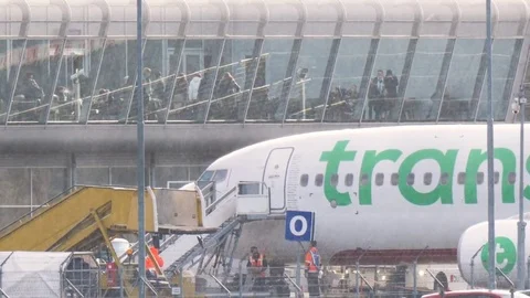 Airplane standing at the gate Stock Footage 84422279