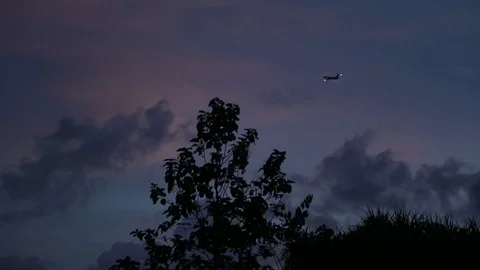 Airplane in the sunset on the sky Stock Footage 101492527