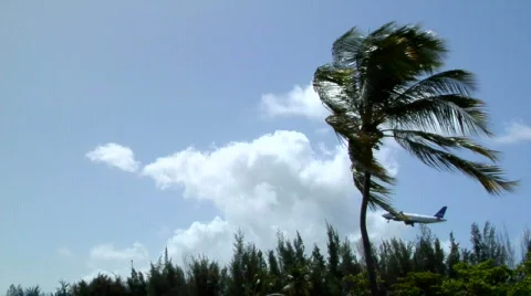 Airplane Takeoff Stock Footage 495396