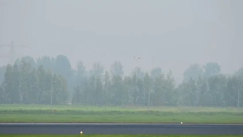 Airplane takeoff Stock Footage 84790071