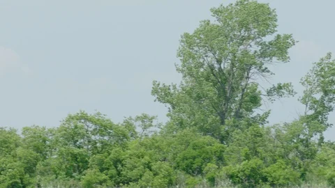 Airplane takeoff zoom 3 Stock Footage 109977024