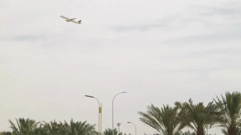 Airplane Taking Off Over Palm Trees in Saudi Arabia Stock Footage 309780933